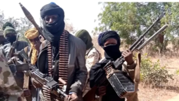 Kidnappers on the Loose: How Nigerians are unknowingly raising their kidnap/ransom value - Aliyu