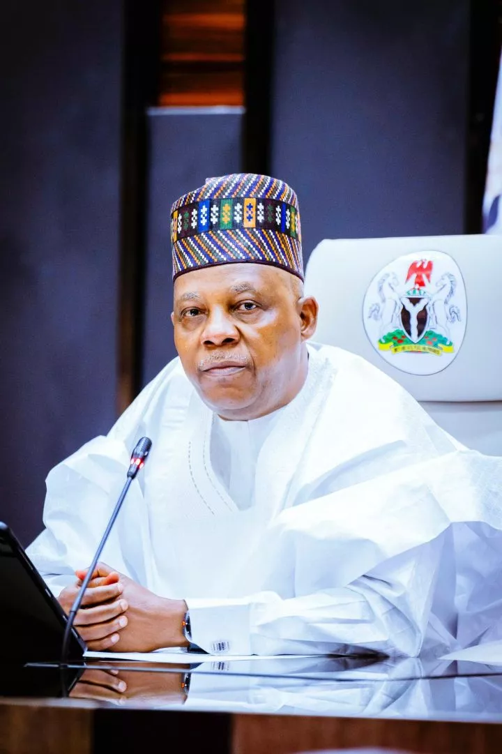 Nigerian immigrants account for highest diaspora remittances in West Africa - Shettima