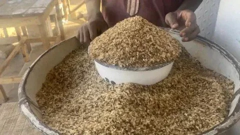 Nigeria's Rising Cost of Living: Citizens Resort to 'Throw-Away' Rice for Consumption