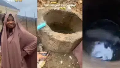 Nigerian lady's Eid El-Kabir plans suffer setback as ram jumps into well