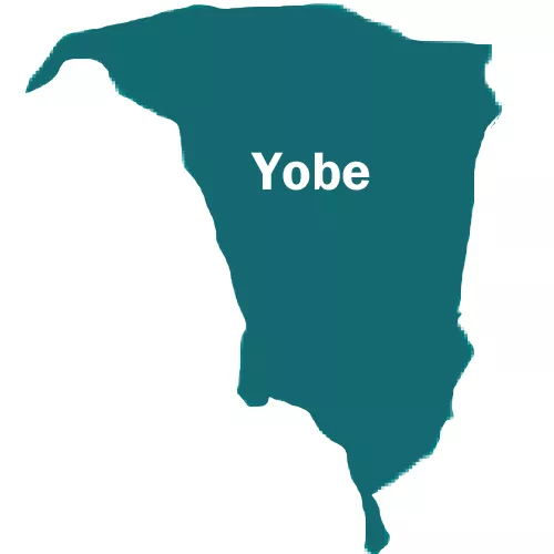 Yobe state government revokes licenses of all private schools