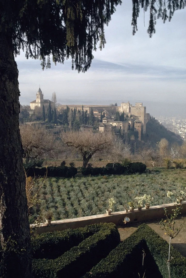 the Alhambra palace in Granada