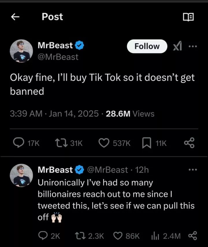 MrBeast offers to buy TikTok to prevent US ban