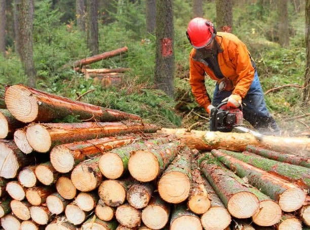 Logging workers 