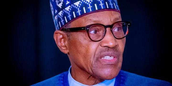 Cabal Must Have Hijacked My Government - Buhari