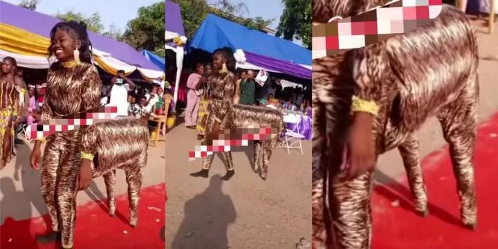 "Ghana, are we cursed? - Knocks as Ghanaian lady slays in horse-inspired attire, graduates from fashion design school