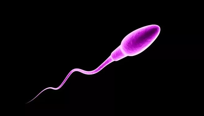 What causes low sperm count?