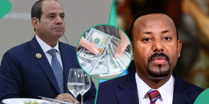 "Dollar in trouble?": Meet the African Countries Moving to Join Other Countries to Dump USD