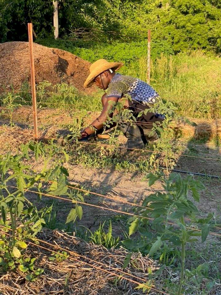 'I never got an award from my country' Nigerian farmer awarded scholarship in the US says as he shares achievement