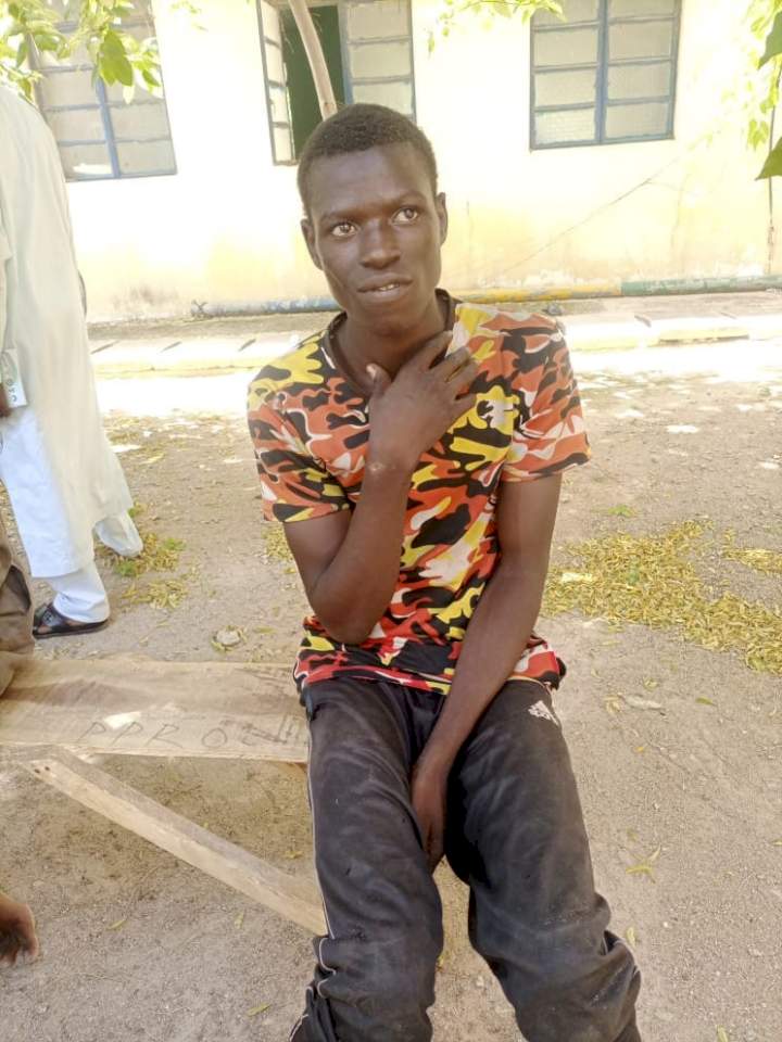 Police arrest notorious drug dealer who specializes in supplying illicit drugs to terrorists in Katsina forest 