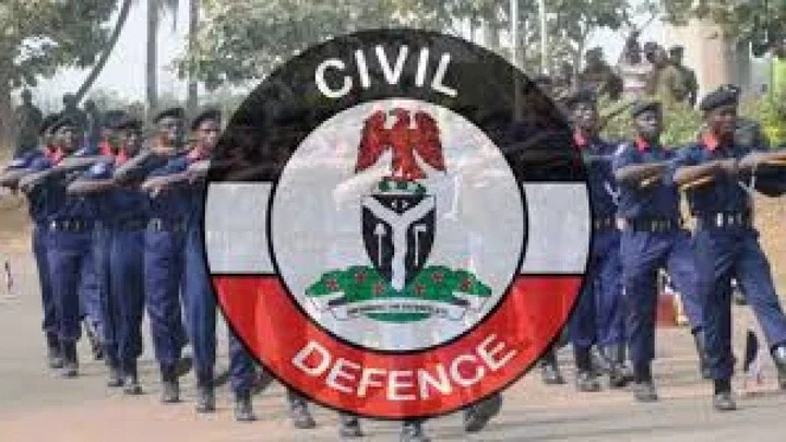 NSCDC arrests seven suspects vandalising cables in Kano