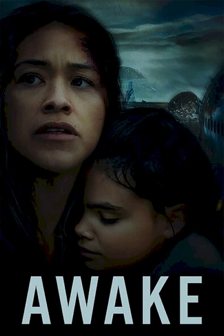 Awake Subtitles (2021)