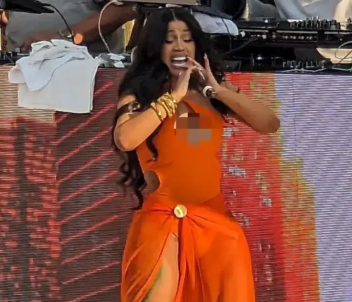 'Her temper is Nigerian-like' - Reactions as Cardi B hurl microphone at fan for throwing water on her (Video)