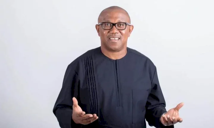 Shagari explains why he rejected to become Peter Obi's running mate