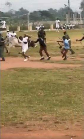 Cow stirs up commotion on NYSC parade ground, corpers run for their lives (Video)