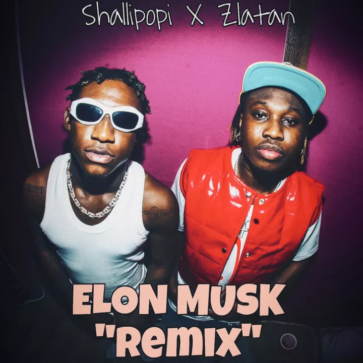 Shallipopi - Elon Musk (Remix) [feat. Zlatan]
