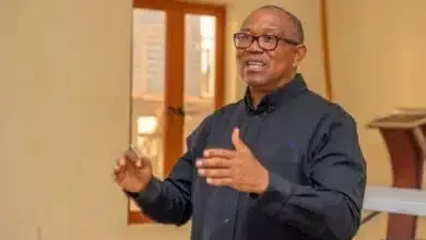 "Waste of time" - Court berates Peter Obi over unpreparedness in petition against Tinubu's victory