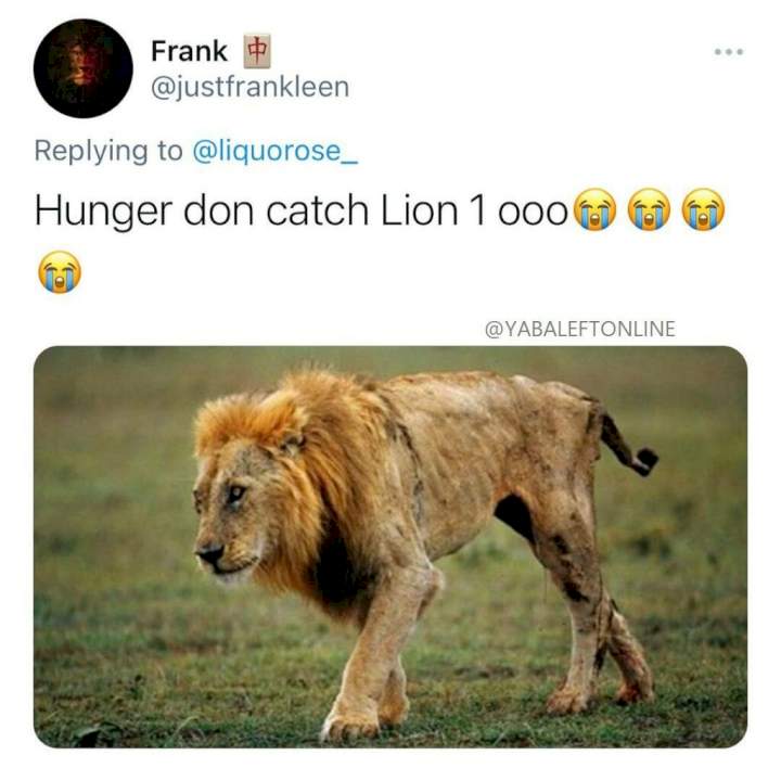 BBNaija: 'Hunger don catch lion ooo' - Reactions as official fan base name for Liquorose is unveiled