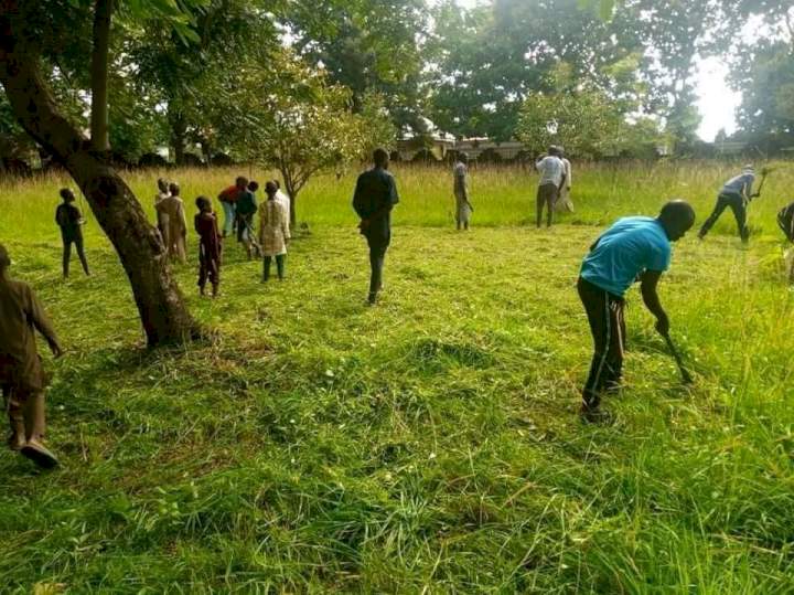 Christians join Muslims to clear grass at Kaduna mosque ahead of Sallah 