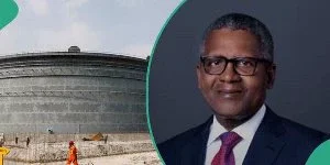'Fuel subsidy is back' - Dangote shuns refining of petrol for diesel, aviation fuel