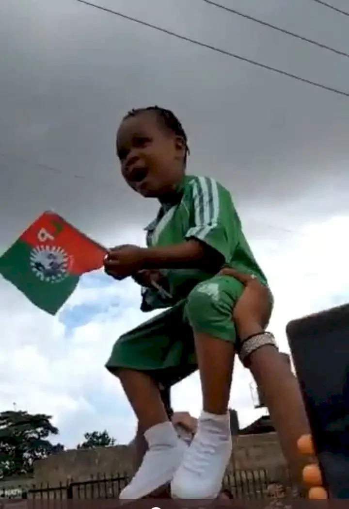Peter Obi sued for involving toddler in election rally