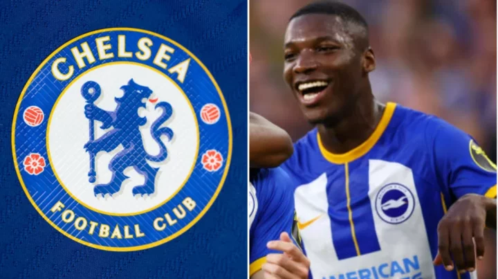 Chelsea to launch new bid to sign Moises Caicedo from Brighton