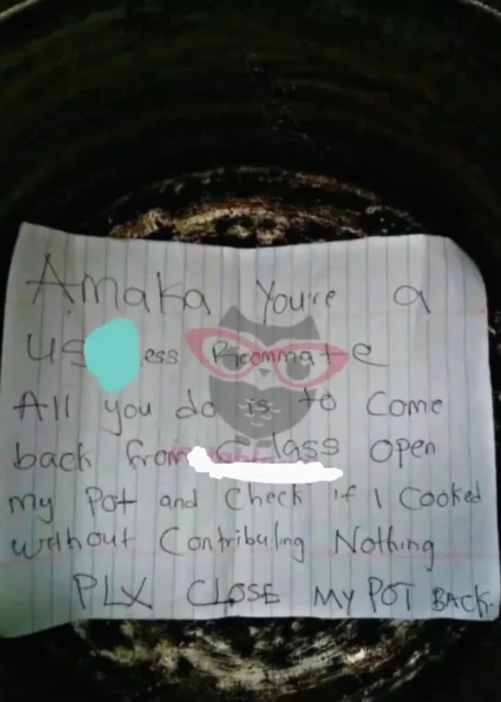 Female student leaves stern note inside pot for her food-stealing roommate, Netizens react