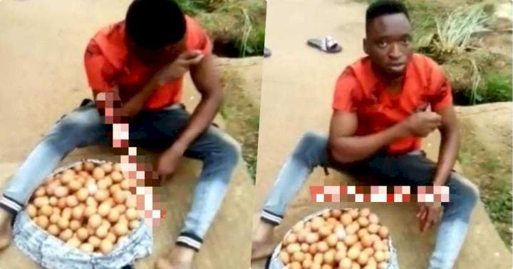 Worker nabbed after stealing eight crates of eggs overnight from farm (Video)