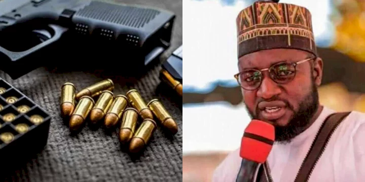 "Killings would end in Nigeria if arms-bearing is legalized" - House of Reps member