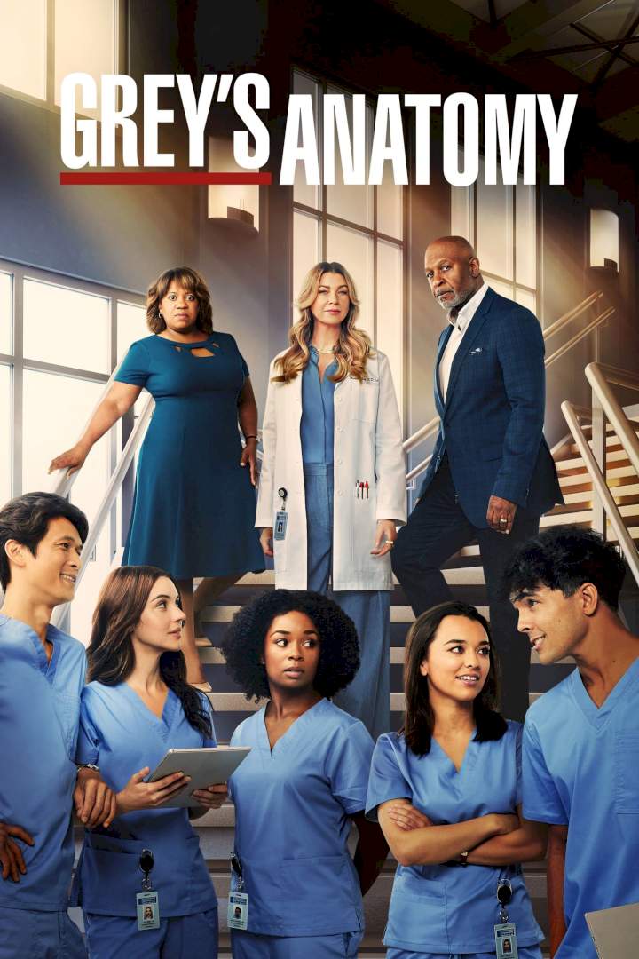 Grey's Anatomy Season 19 Episode 20