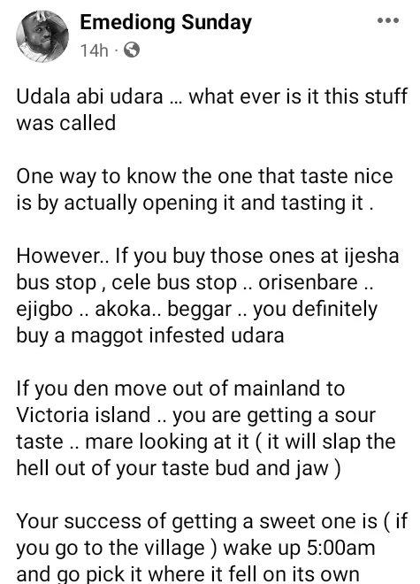 'Avoid Lagos women, they are like maggot-infested Udara' - Nigerian man warns