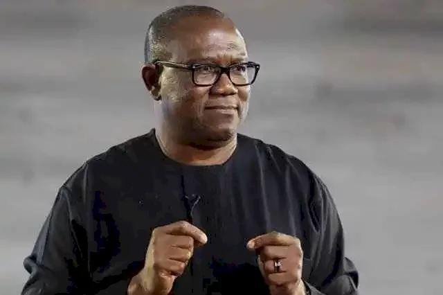 Pere rubbishes troll who faulted his opinion about Peter Obi's chosen party