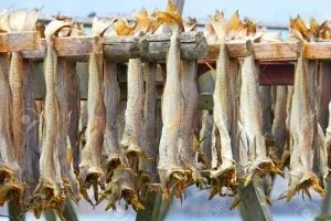 How did stockfish come into Nigeria?