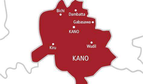 Hanifa: Kano government revokes licences of all private schools