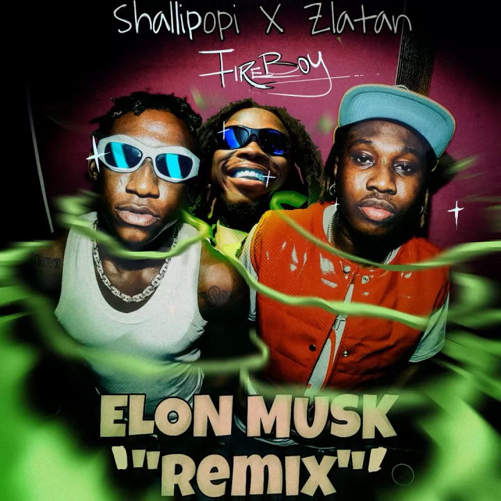 Shallipopi - Elon Musk (Remix) [with Fireboy DML & Zlatan]