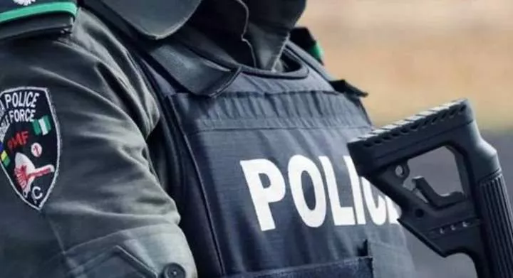 Nigerian-police (VanguardNG)