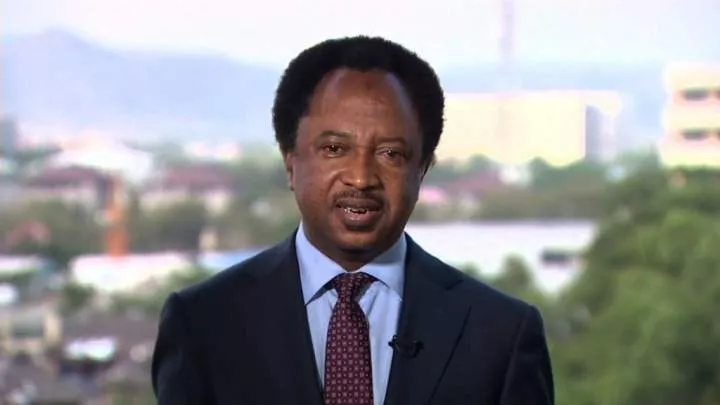 Shehu Sani cautions those referring to President-elect, Bola Tinubu as drug baron