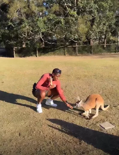 Oshoala feeds Kangaroos while The final Super Falcons group game of the 2023 Women's World Cup will be against Ireland.