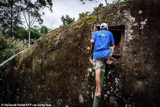 A member of the Toraja ethnic group opens his relatives' grave during the traditional ritual known as Manene in Pangala, South Sulawesi, on August 27, 2024