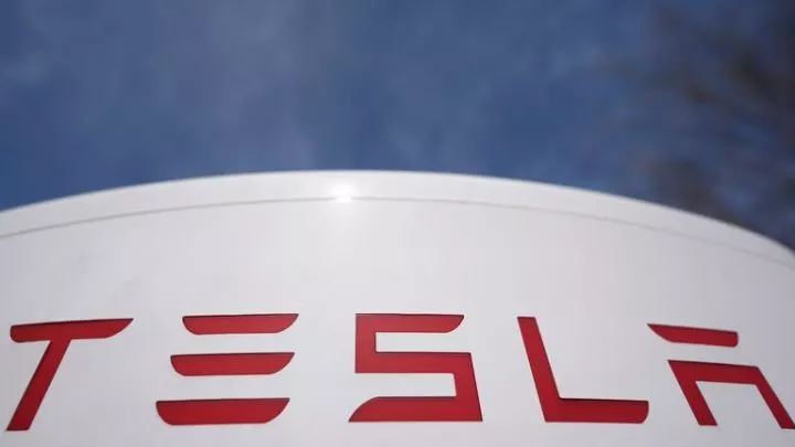 Man drives car into anti-Tesla protesters