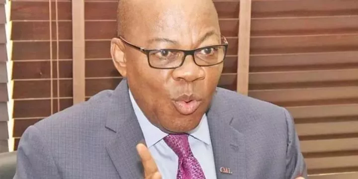 Olisa Agbakoba calls EFCC 'Terrorists'