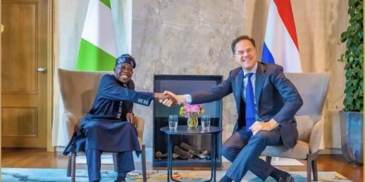 Netherlands topples India as Nigeria's second largest trade partner in 2023