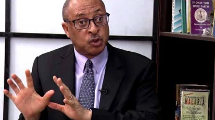 Insecurity: If we can place soldiers around all the farms in Nigeria, one Problem'll be solved - Pat Utomi