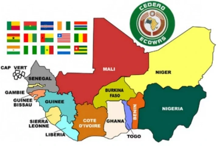 Nigeria contributes $710m to ECOWAS, more than 13 countries put together