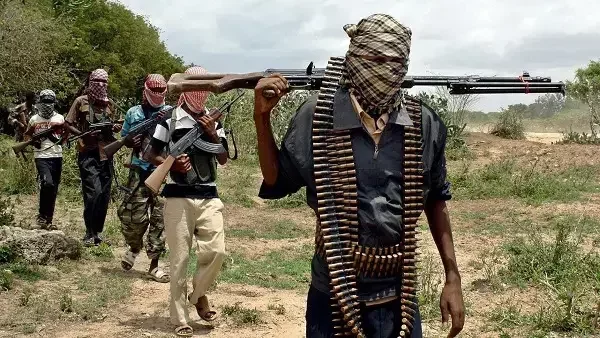 Residents flee as bandits kill 30 security volunteers in Niger