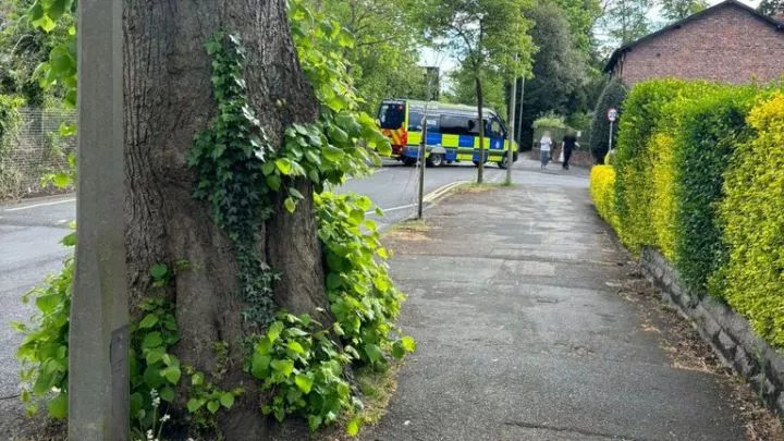 Boy, 14, mistakenly arrested during investigation into suspected terrorism plot Boy, 14, mistakenly arrested during investigation into suspected terrorism plot