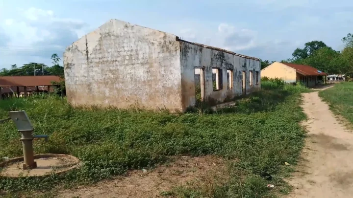 Snakes, lizards take over Benue public schools as teachers, pupils abandon classes