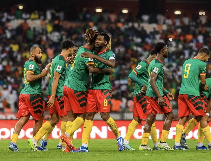 AFCON predictions: Cameroon's Indomitable Lions 