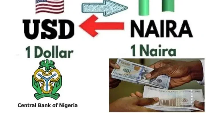 Black Market Dollar to Naira Exchange Rate Today, 19 January 2025