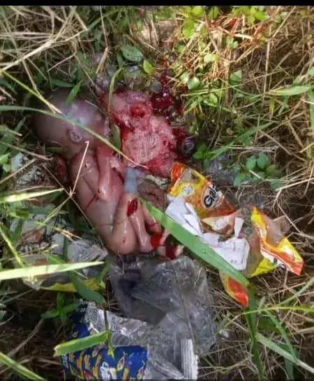 Premature baby found dead in front of Rivers varsity female hostel